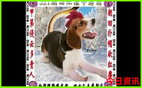 北京有什么好玩的地方适合孩子